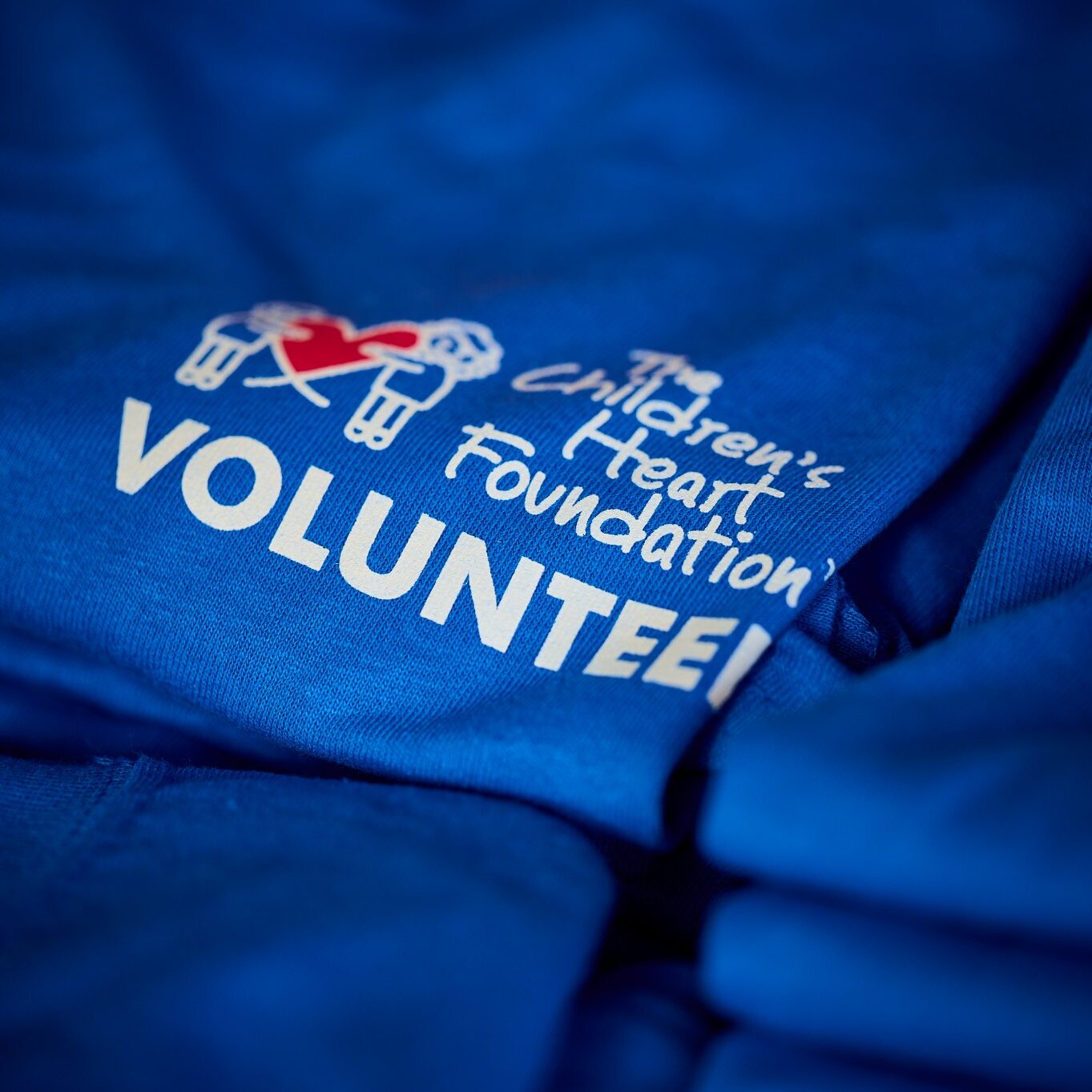 2026 West Michigan Congenital Heart Walk Volunteer - logo